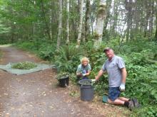 Invasive Plant removal CVRD